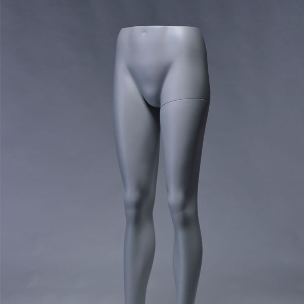 Standard_Female_Forms