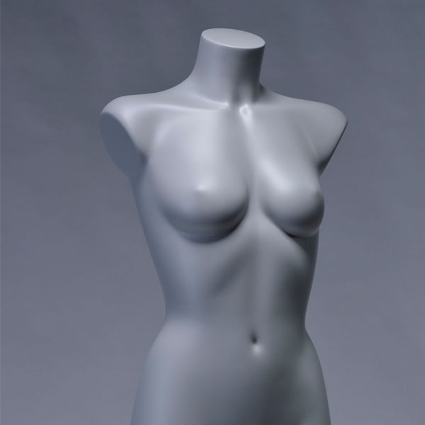 Standard_Female_Forms