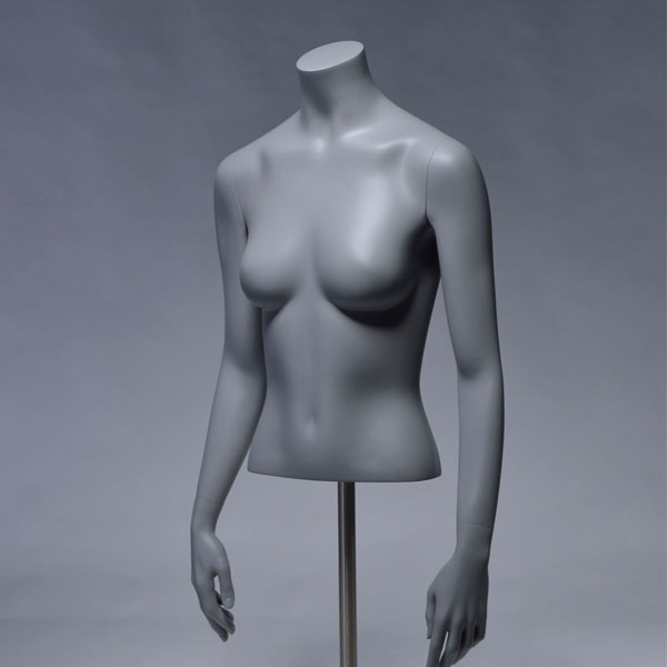 Standard_Female_Forms