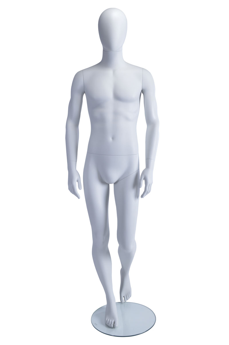 STAM-11